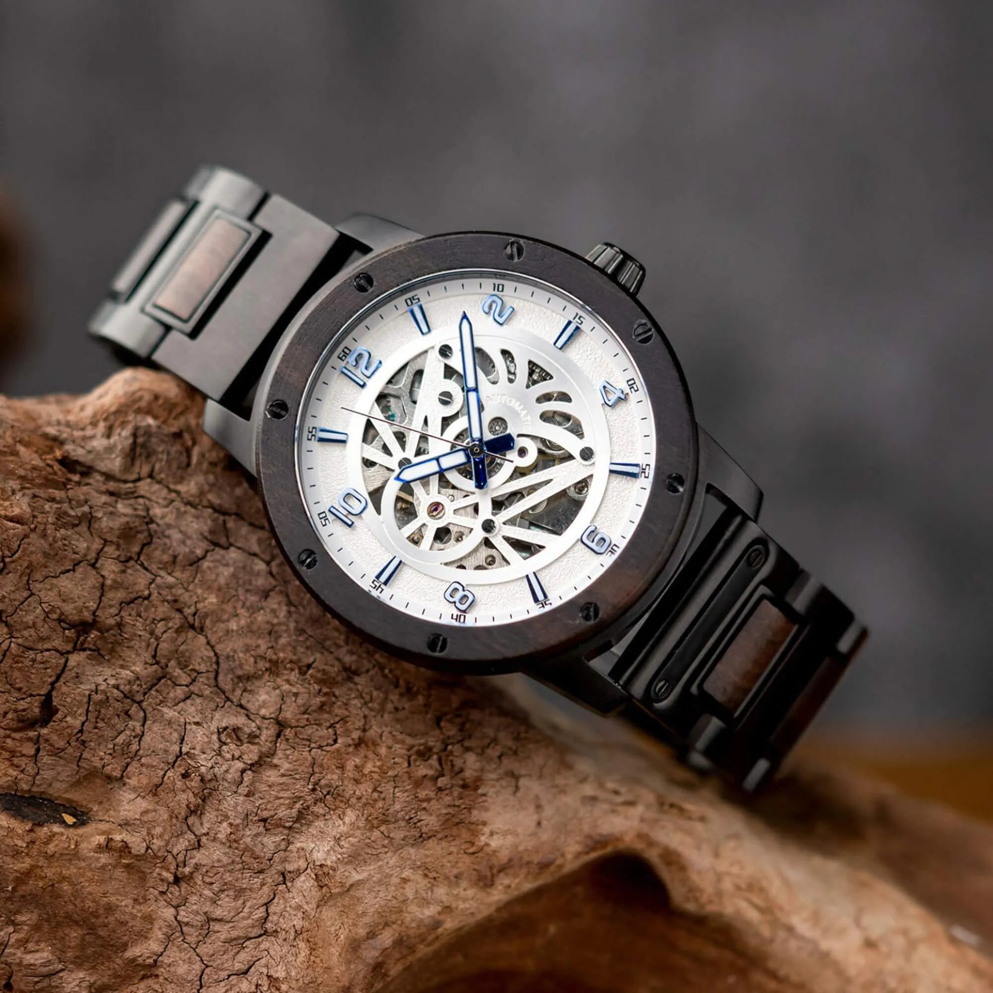 Skeleton Watches Automatic Mechanical Louro Preto Black