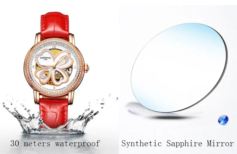 Women's Automatic Mechanical Skeleton Leather Water Resistant Wrist Watch